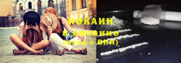 гашик Осташков