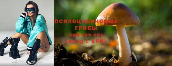 мяу мяу мука Болохово