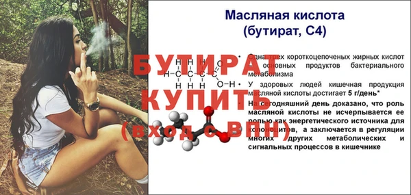 гашик Осташков