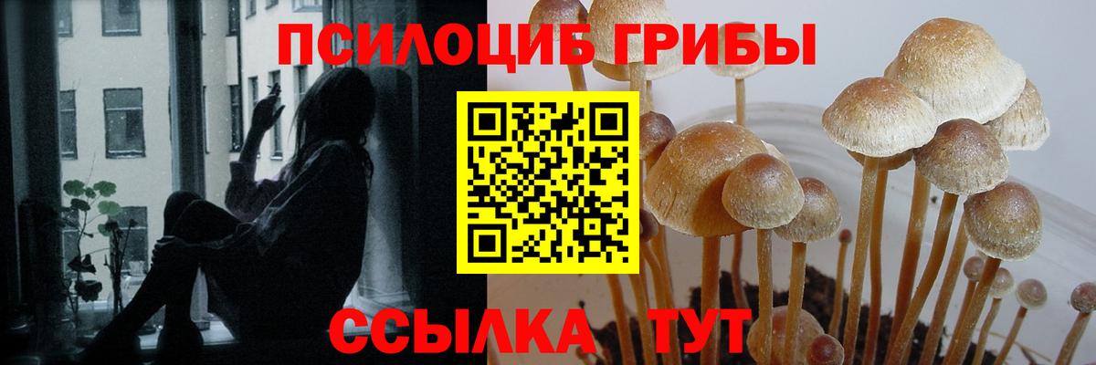 Новороссийск  Галлюциногенные грибы MAGIC MUSHROOMS  Вход с VPN 