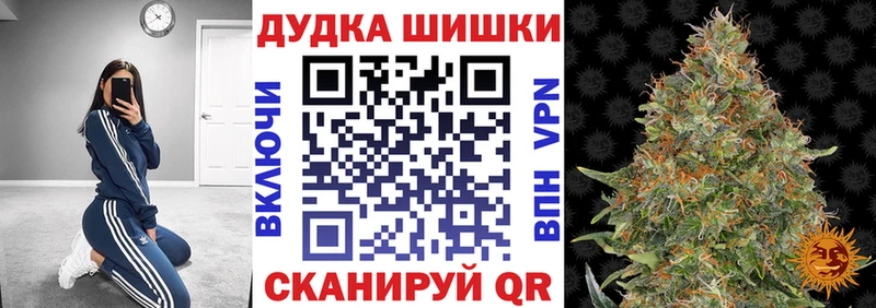 Бошки марихуана Amnesia  Новороссийск 
